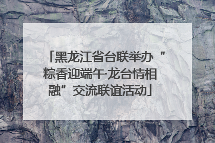 黑龙江省台联举办“粽香迎端午·龙台情相融”交流联谊活动