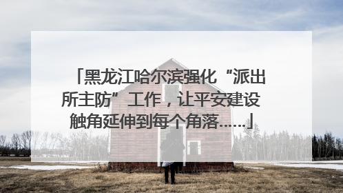 黑龙江哈尔滨强化“派出所主防”工作，让平安建设触角延伸到每个角落……