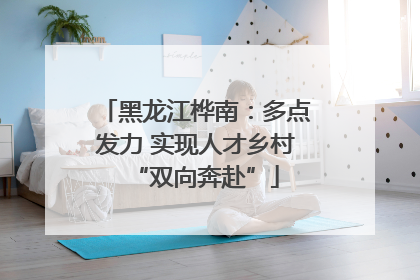 黑龙江桦南：多点发力 实现人才乡村“双向奔赴”