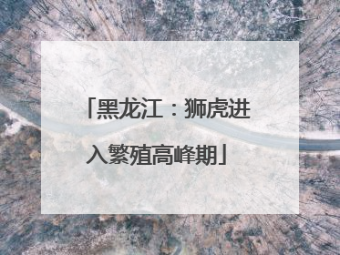 黑龙江：狮虎进入繁殖高峰期