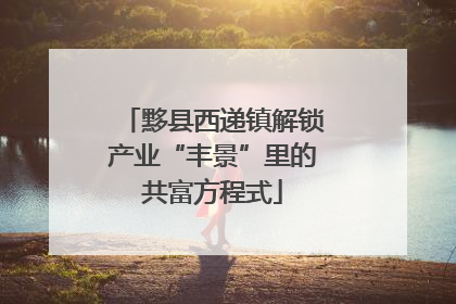黟县西递镇解锁产业“丰景”里的共富方程式
