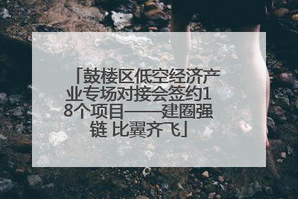 鼓楼区低空经济产业专场对接会签约18个项目——建圈强链 比翼齐飞