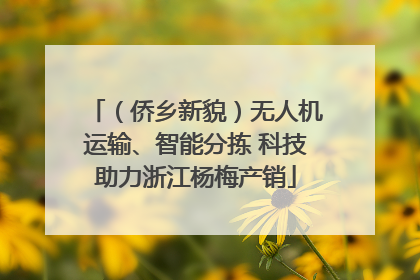 （侨乡新貌）无人机运输、智能分拣 科技助力浙江杨梅产销