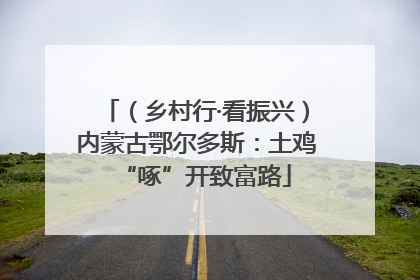 （乡村行·看振兴）内蒙古鄂尔多斯：土鸡“啄”开致富路