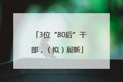 3位“80后”干部，（拟）履新