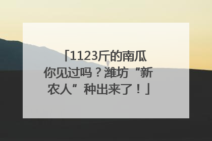 1123斤的南瓜你见过吗？潍坊“新农人”种出来了！
