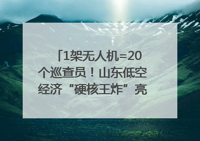 1架无人机=20个巡查员！山东低空经济“硬核王炸”亮相青岛，下一个万亿赛道藏在这里