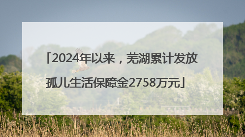 2024年以来，芜湖累计发放孤儿生活保障金2758万元