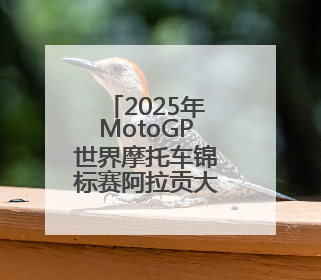 2025年MotoGP世界摩托车锦标赛阿拉贡大奖赛赛况