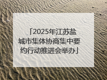 2025年江苏盐城市集体协商集中要约行动推进会举办