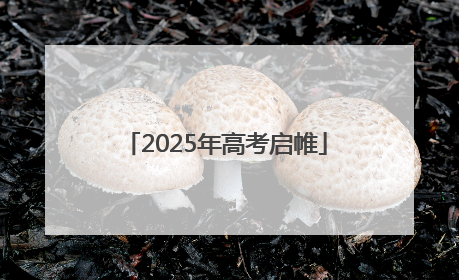 2025年高考启帷