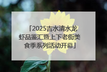 2025吉水清水龙虾品鉴汇暨上下老街美食季系列活动开幕