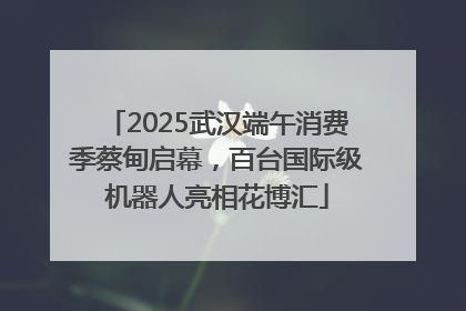 2025武汉端午消费季蔡甸启幕，百台国际级机器人亮相花博汇