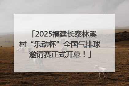 2025福建长泰林溪村“乐动杯”全国气排球邀请赛正式开幕！