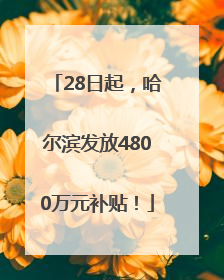 28日起，哈尔滨发放4800万元补贴！