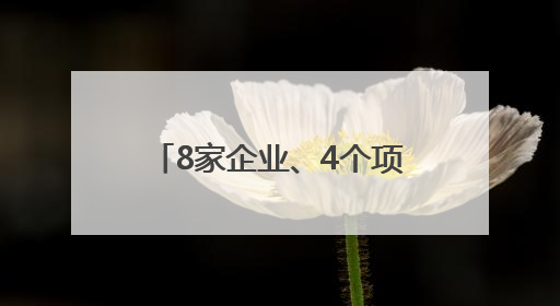 8家企业、4个项目上榜！东城“文化出海”能级再提升
