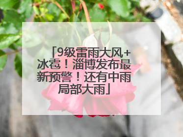 9级雷雨大风+冰雹！淄博发布最新预警！还有中雨局部大雨