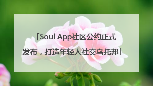 Soul App社区公约正式发布，打造年轻人社交乌托邦